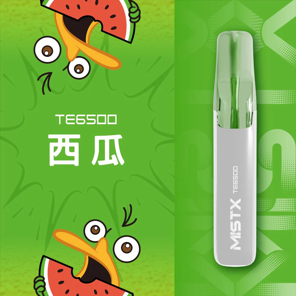 鴨嘴獸一次性電子煙 鴨嘴獸拋棄式 台灣現貨 當天出貨 711貨到付款